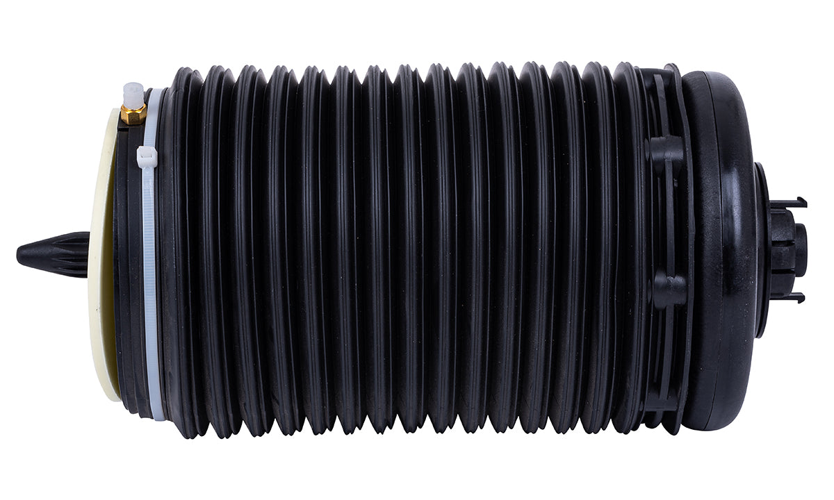 Balona Neumática (Eje Trasero Izquierdo) Audi A6/ A6 Allroad /A7 (C7-4G/4G8) 11-18