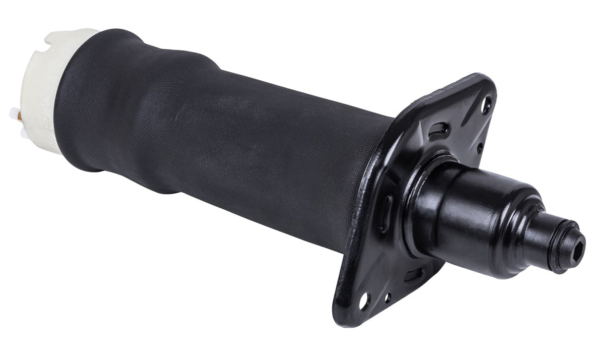 Balona Neumática (Eje Trasero Izquierdo) Audi A6 Allroad Mk I 4BH (2000-2005)