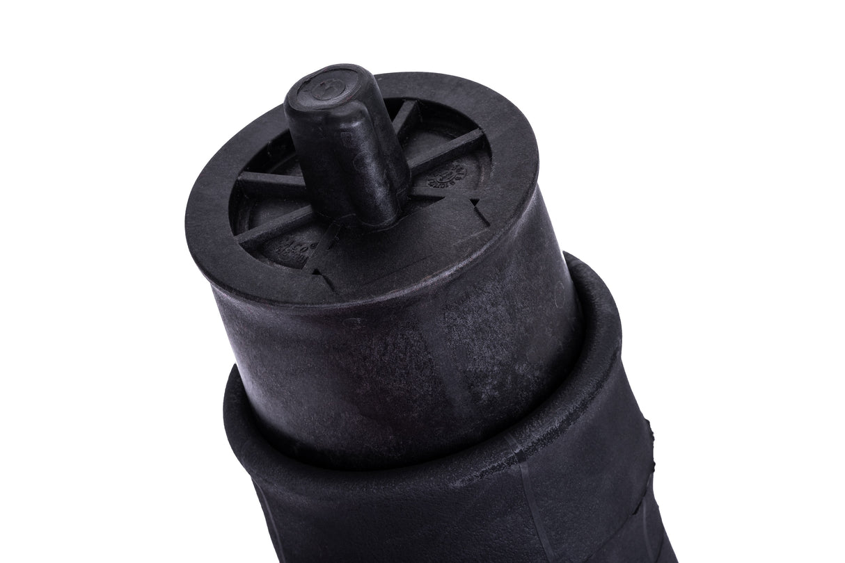 Balona neumática trasera Citroën Jumpy II / Peugeot Expert II / Fiat Scudo II (07-12)