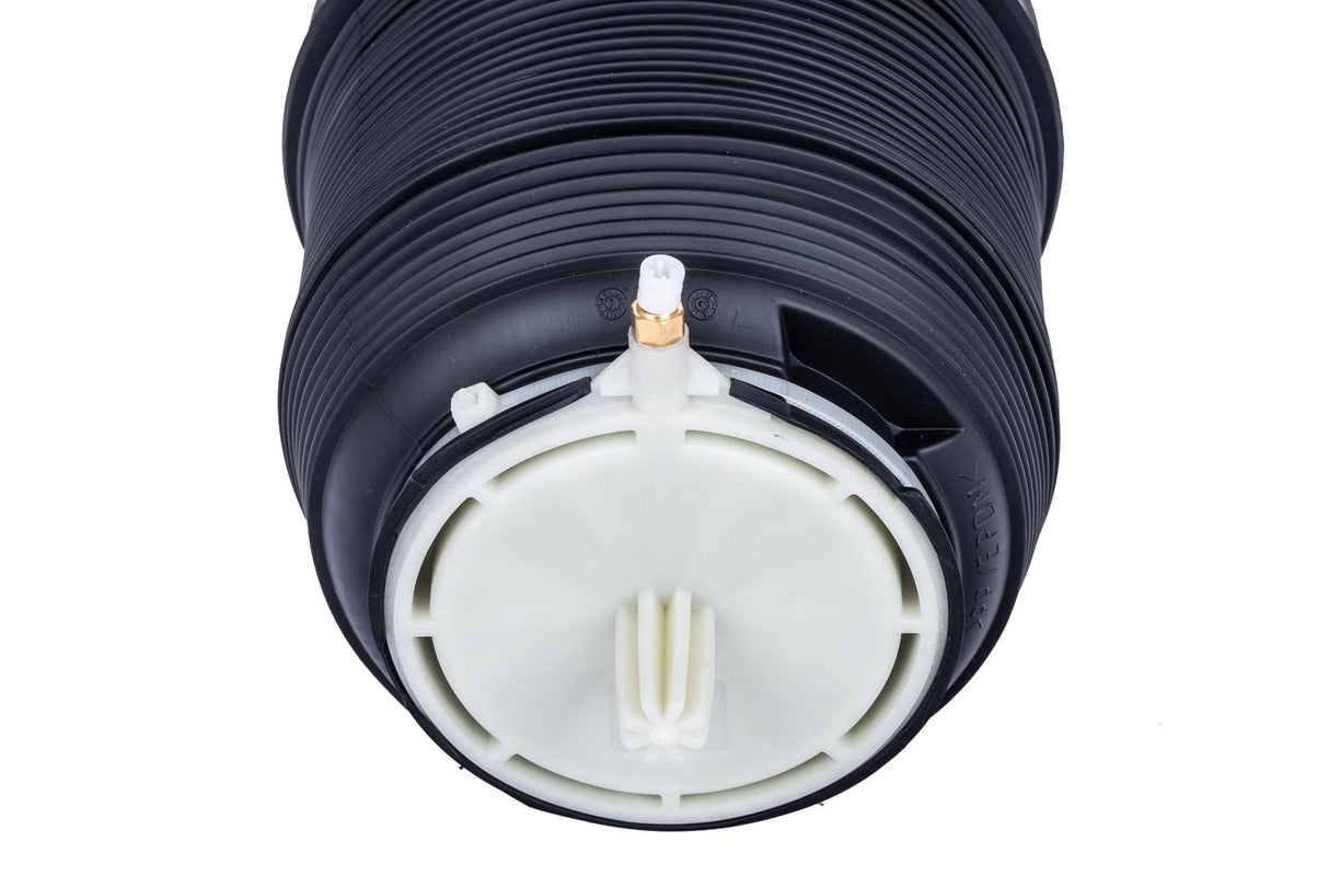 Balona neumática trasera Audi A6 C6-6F Allroad 04-11