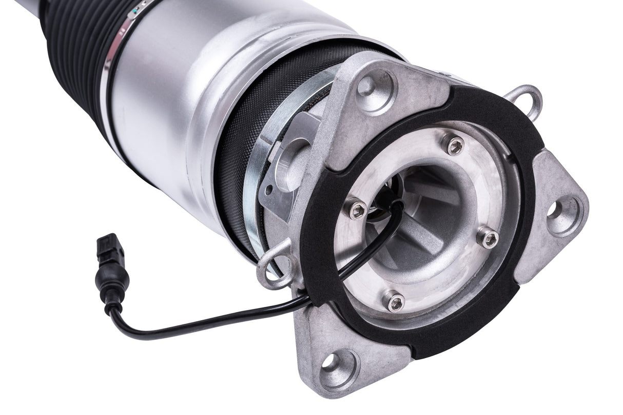 Amortiguador neumático trasero izquierdo Audi A8/S8 D3-4E 02-10