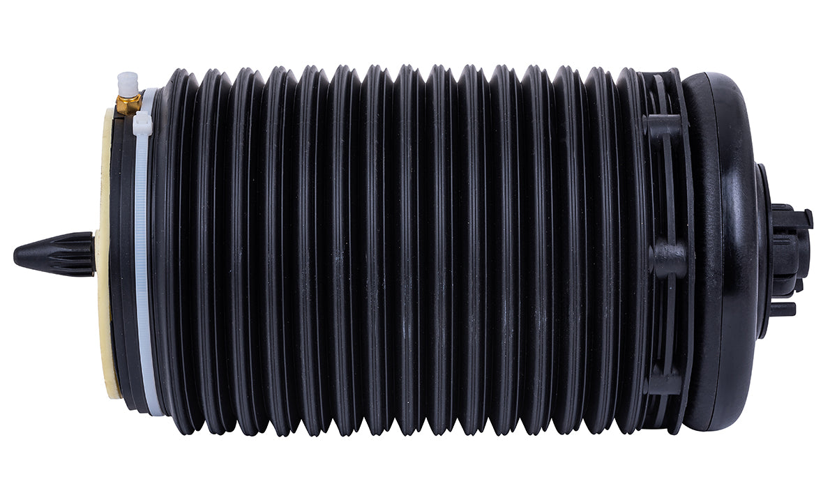 Balona Neumática (Eje Trasero Derecho) Audi A6/ A6 Allroad /A7 (C7-4G/4G8) 11-18