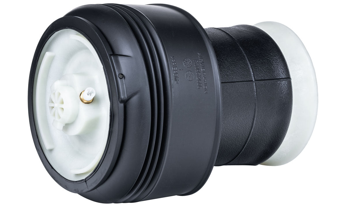 Balona trasera neumática BMW X6 E71 E72 07-14